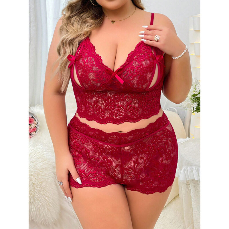 Plus Size Sexy Lingerie Lace Perspective Temptation Shaper Two-Piece Suit - Image 5